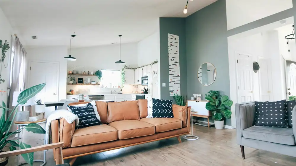 Pet Supplies in a Small Flat: Storage That Survives Daily Use